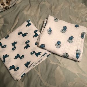 aden and anais dinosaur swaddle
